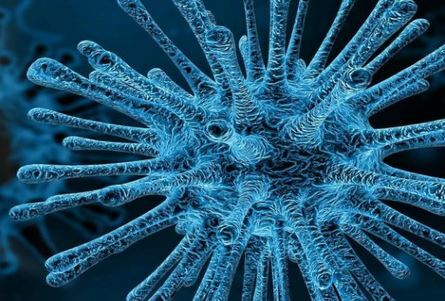 La OMS alerto el día de fin de año de la aparición del coronavirus